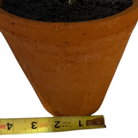 POTTERY BARN Small Faux Fiddle Leaf Fig Tree - Picture 5 of 9